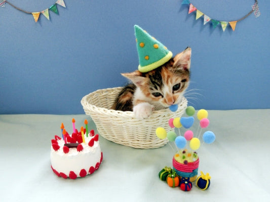愛猫の誕生日は何をする？ケーキの準備や飾り付け、プレゼントなど当日の過ごし方をご紹介！