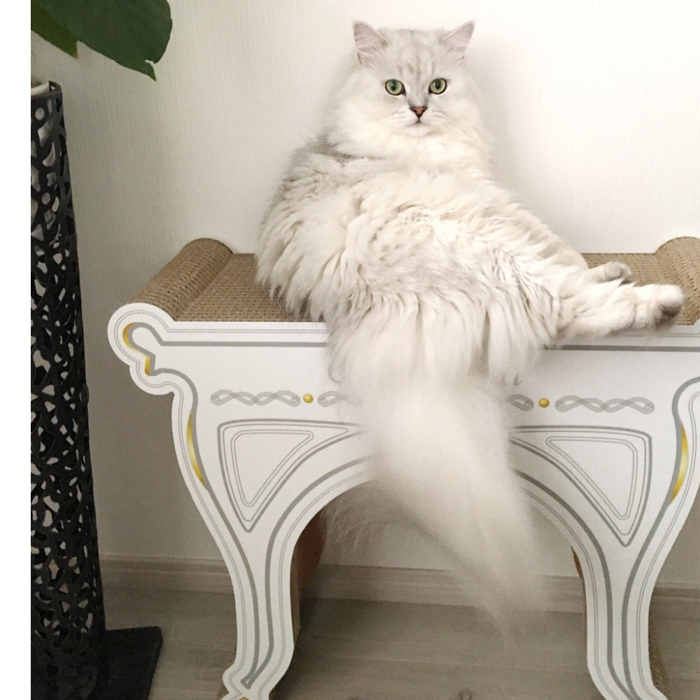 170120111921_8eef90.jpg?v=