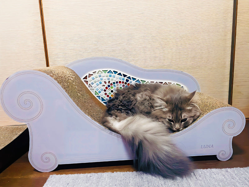 coppoでくつろぐ、サイベリアンのLUNAちゃん – 猫の爪とぎ Caricarina