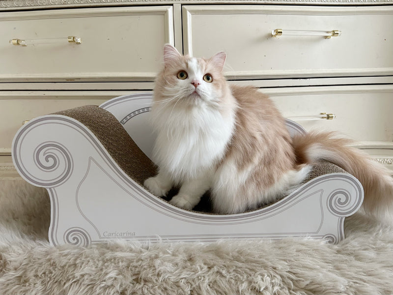 りょうちゃん様予約 絵画「猫の背中にヘンゼルとグレーテル」「ラガマフィンと文鳥」 20240930_eb9760cf-6ce8-47d0-