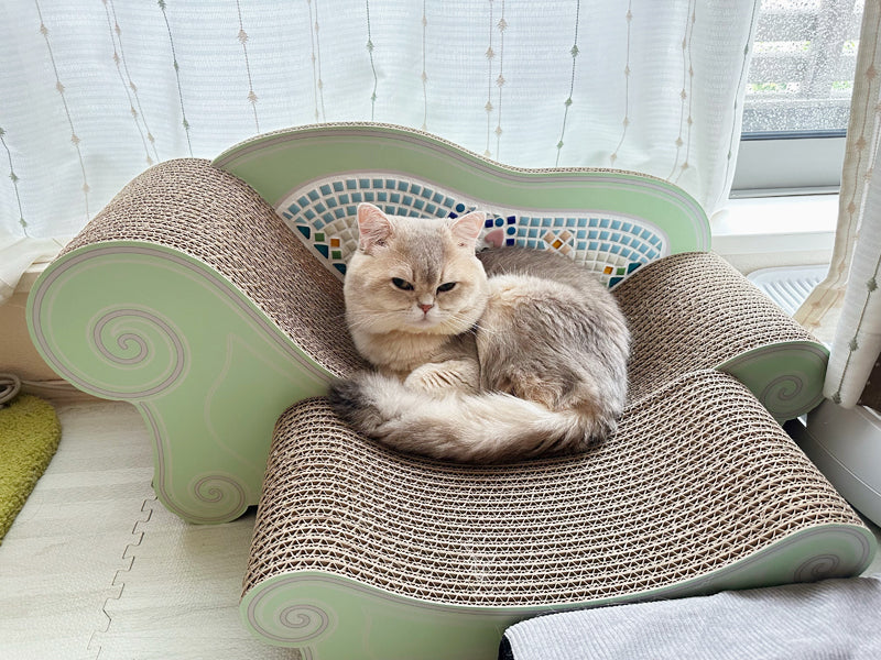 20241009_d459d64c-f837-40e3-