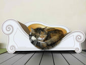 カリカリーナはマストアイテム。スコティッシュフォールドのリロちゃん