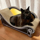 Basicがとてもお気に入り。黒猫のキキちゃん