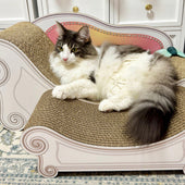 スツールをプラスして広々♪ノルウェージャンフォレストキャットのルーシーちゃん