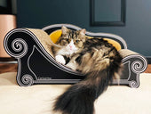 Basicでくつろいだり、遊んだり。サイベリアンのショセットちゃん