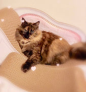 Luceを5年以上愛用♪サビ猫のミリちゃん