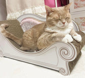 Luceの上でリラックス♪マンチカンのミルクココアちゃん