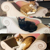 全員カリカリーナがお気に入り!とらちゃん・ちこちゃん・ふくちゃん