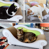 みんなカリカリーナがお気に入り♪澪ちゃん、ミャオちゃん、茶々丸ちゃん