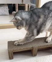 PONTEを喜んで使うようになったなるとちゃん