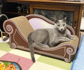 カリカリーナで寛ぐ姿が増えた、ロシアンブルーのアーサーちゃん