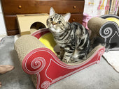 Basicがお気に入り♪つみれちゃんとちくわちゃん