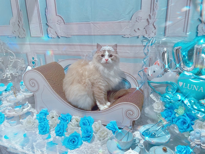 230616041729_894e1c.jpg?v=