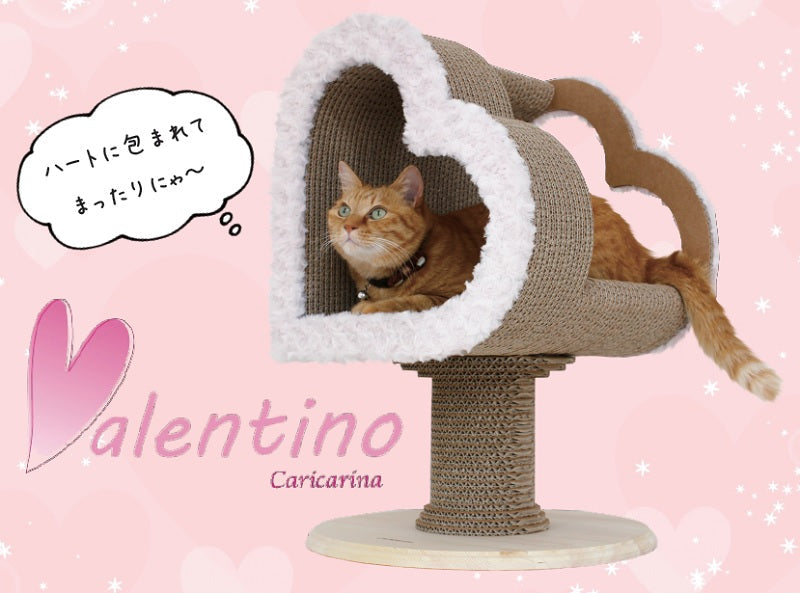 たかの友梨　バリキン（BARIKIN） たかの友梨 バリキン（BARIKIN） BARIKIN たかの友梨 美容