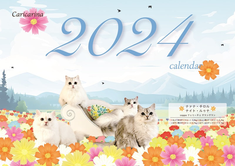 c9ae92b4691fe6ad4c98b5c45bcbe9