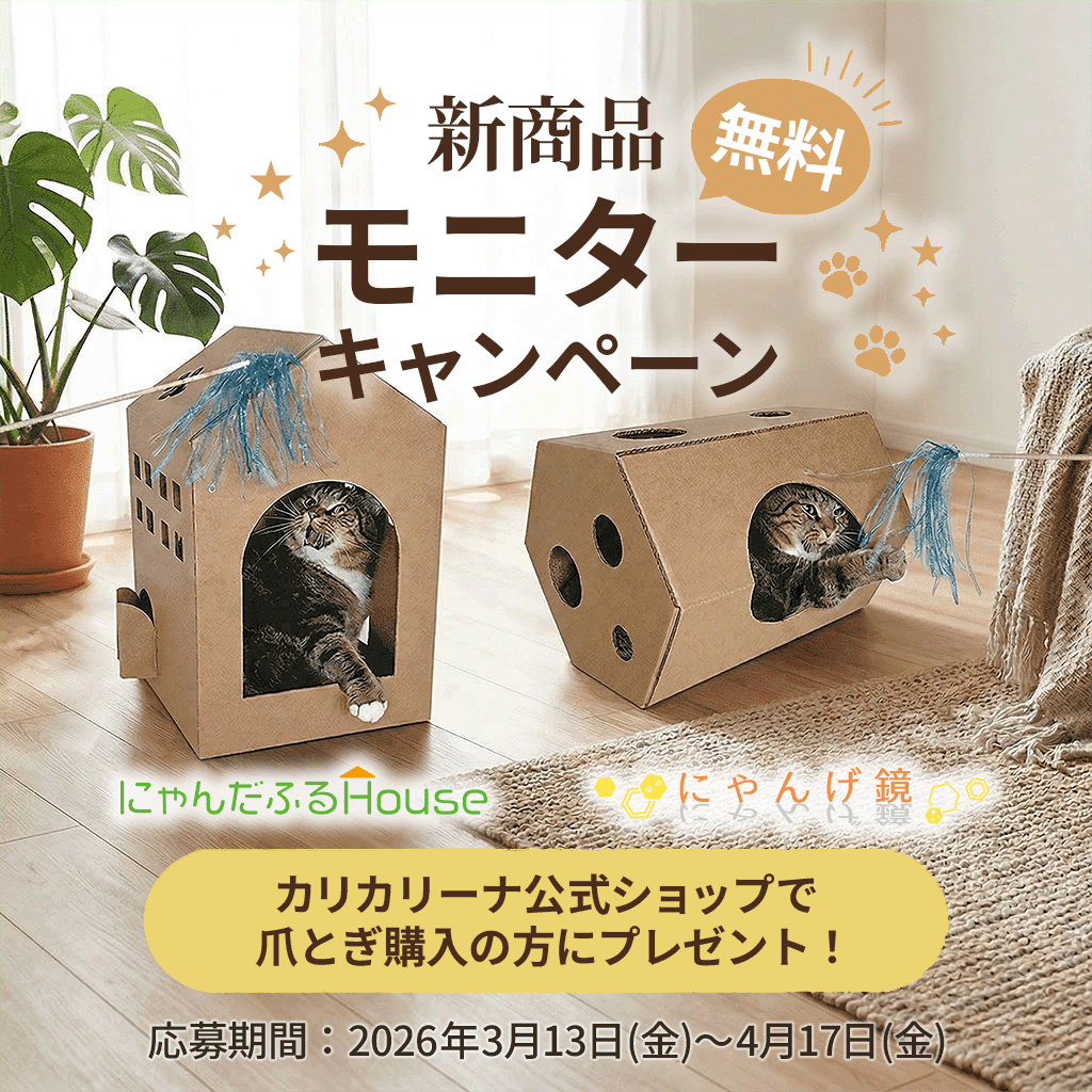 くぼともこさん　天使の猫ちゃんの壁掛け　コンガリ舎 3/13スタート】新商品 無料モニターキャンペーン！「にゃんげ鏡