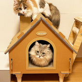 どっちがお家に入るか毎日バトル!ミヌエットのレイちゃん&リンちゃん