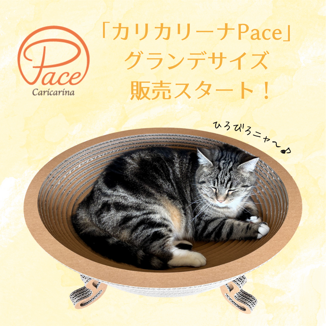 pace_grande_SNS1.png?v=1747199471