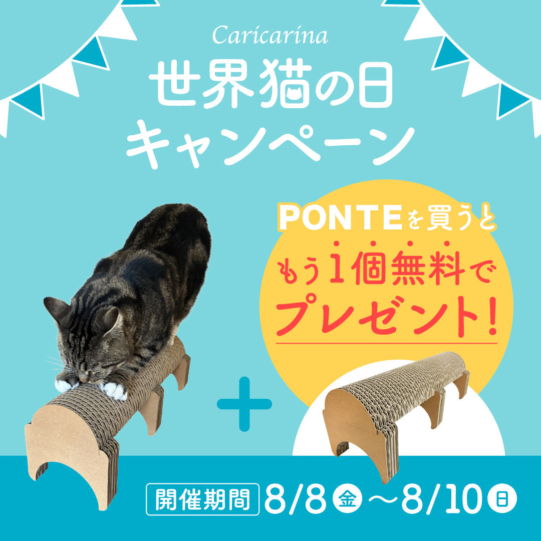 PONTE」がもう1個もらえる！カリカリーナ 世界猫の日キャンペーン開催