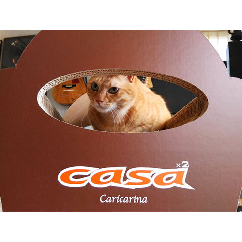 casa カーサ ルンガ(L) イメージ③