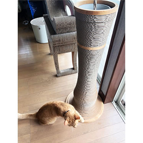 Giorno ジョルノ スタンダード(5号鉢用) イメージ④