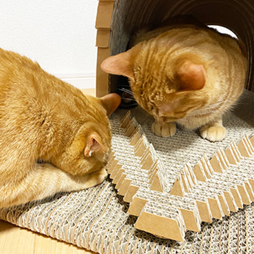 MARE マーレ さめ イメージ⑤