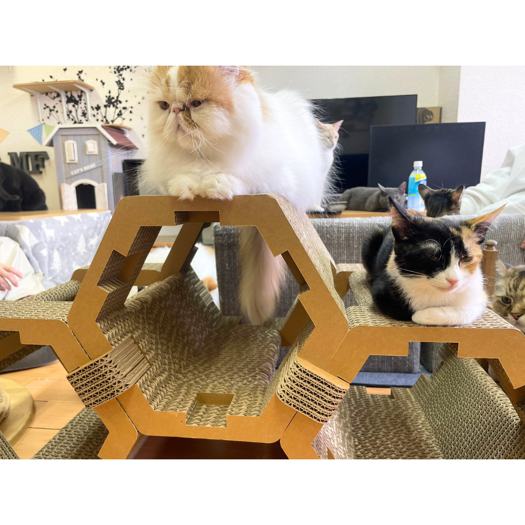 カリカリーナ ritmo リトモ 爪とぎ