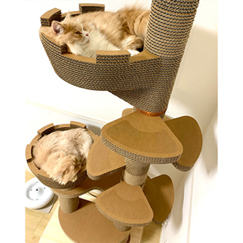 Torre e mezzo トーレ エ メッゾ イメージ⑤