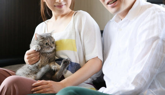 猫に好かれやすい人の特徴とは？猫と仲良くなるために知っておきたいことをご紹介