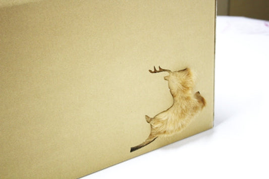 素敵な連載のご紹介～新聞コラム～