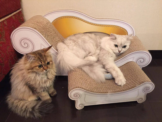 香箱座り～カリカリーナ編～