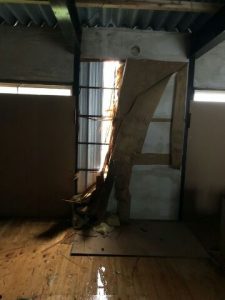 カリカリーナの工場は再開いたしました！