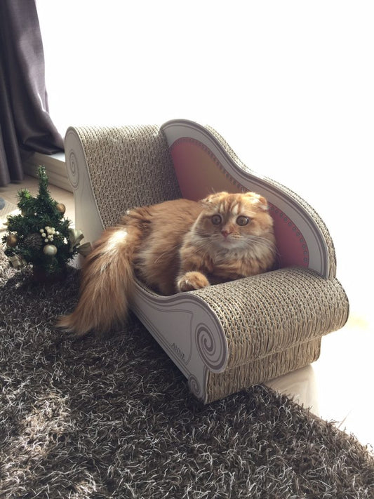 ふわもこを作り出す、舐めても安心なキャットシャンプー