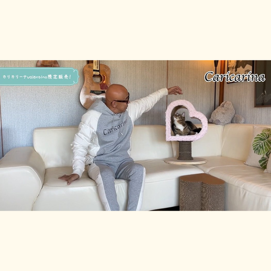 YoutubeチャンネルでカリカリーナValentinoをご紹介！