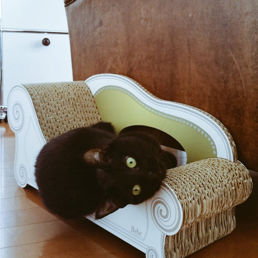 Bebe（ベベ）ちゃん