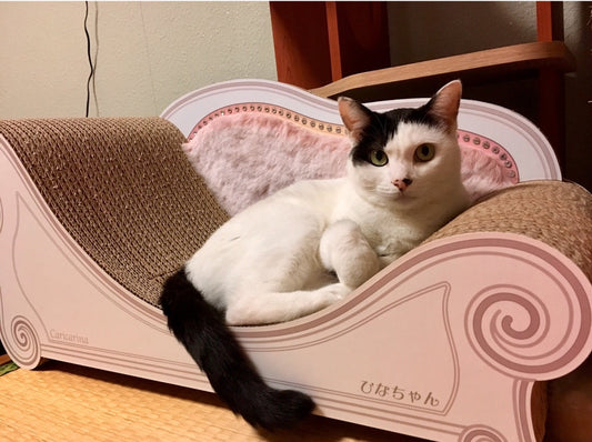 ひなちゃん