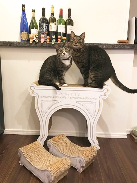 武蔵野市吉祥寺生まれのムサシ君