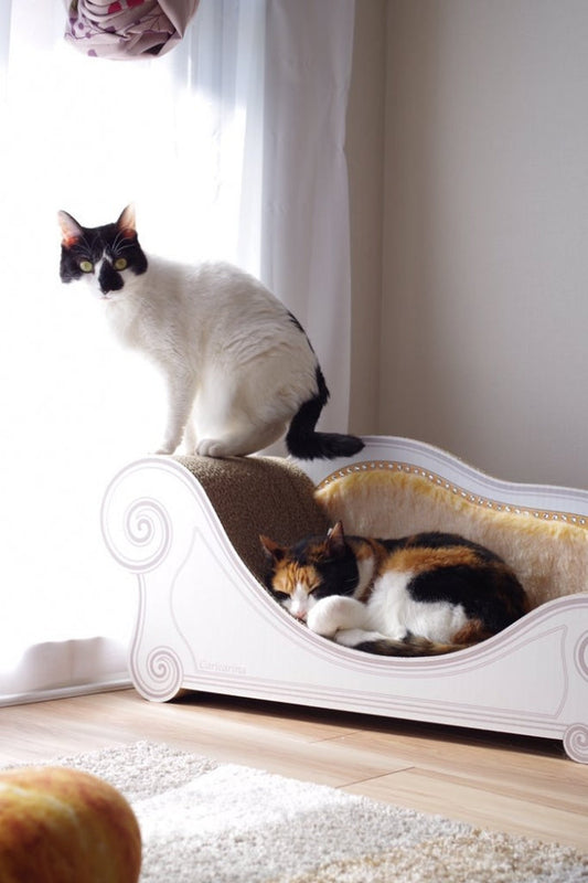 美人秘書ソラちゃん