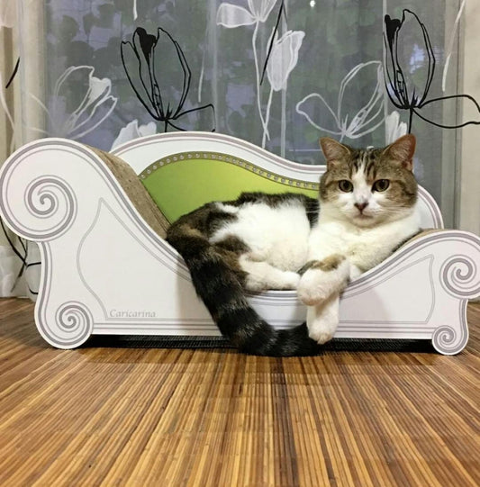 スコマンチのアルトくん?