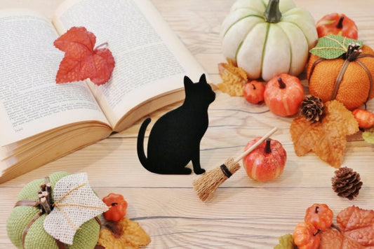 ハロウィンに黒猫が関係している理由は？その由来や秘密を解説します！