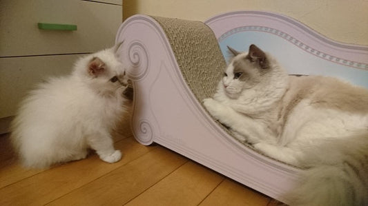 ララちゃん　＆　すずちゃん