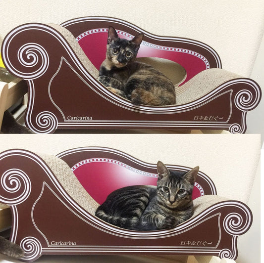 あなた色を仲良くシェアするロキちゃんとひぐーちゃん