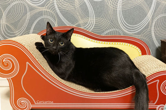 暴れん坊も優雅に!? mixの社長さん