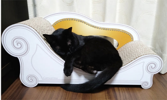 ２日目からは起きている時も寝るときもカリカリーナ♪