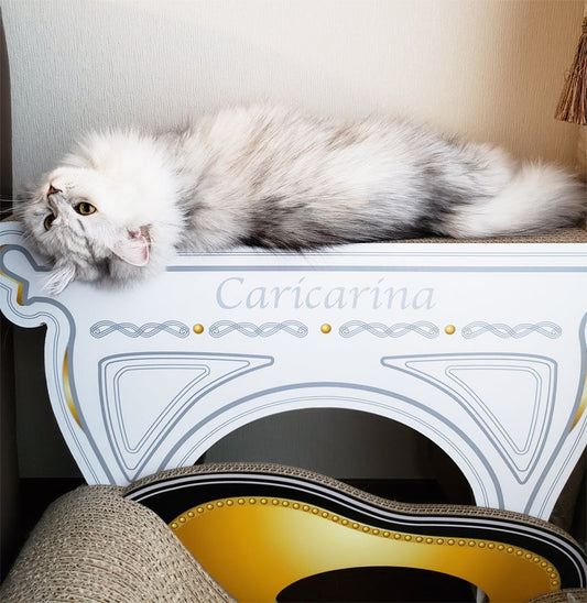 アルトグランデで伸び伸び ♪　ラガマフィンのリアンちゃん