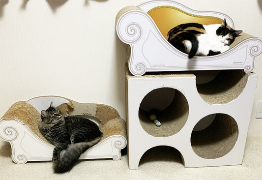 新しくグラングランをもらったJasmineちゃん