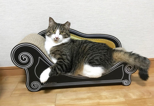 設置して7秒で完全に使用方法を理解したハチちゃん