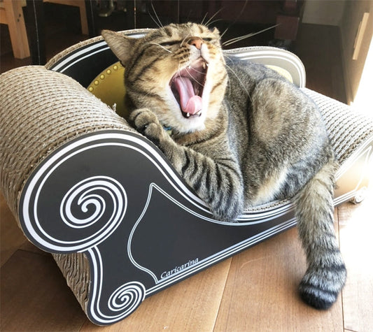 2個目のカリカリーナを開けた途端カリカリしてくれたてとさん