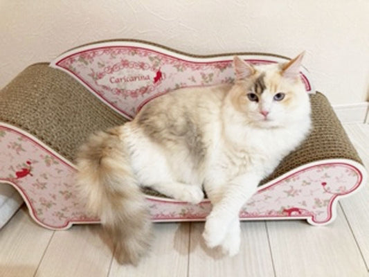 ローズピンクのFioreがお気に入りのANNちゃん