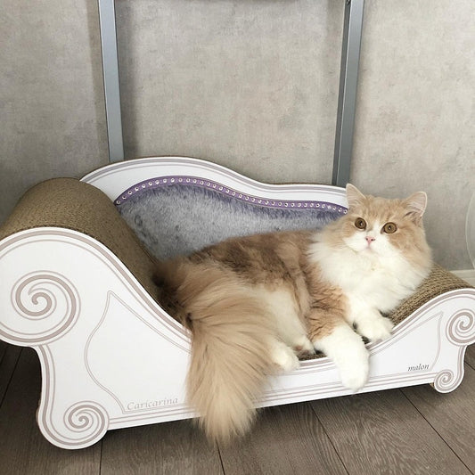 スワロフスキーと名前入り♪　スコティッシュフォールドのマロンくん